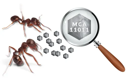 Mikropont jelölés technológia bemutatása nagyságrendi ábrázolásban.